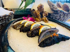-小天鹅戴斯酒店鲸鲨百汇创作料理