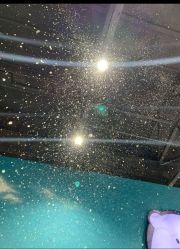 -Mr·Kuma酷么先生雪之乐园