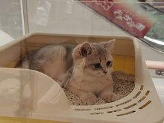 -杭州西湖银泰百货