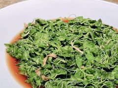 -上海总会SHANGHAICLUB(兴业太古汇店)