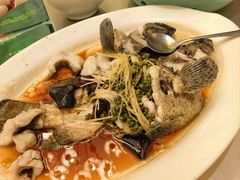 -沙龙酒家