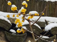 -天目湖御水温泉·度假酒店