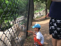 -大连森林动物园