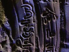 -Z+KTV自由港PLUS(仲盛店)