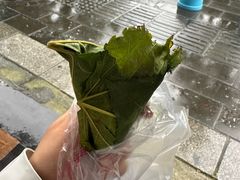 -叶婆婆豆浆馍馍