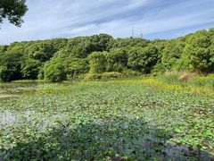 -中华贤母园-陶渊明纪念馆