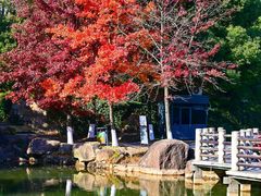 -白马涧龙池景区