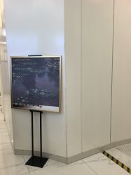 -欧扬医疗美容