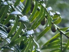 -东天目山风景区