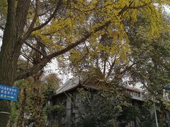 -四川大学(华西校区)