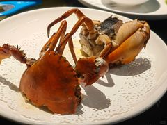 -鑫悦楼煎蟹·16年海鲜大排档