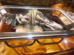 -楚灶王(徐东店)