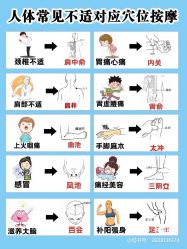 -香薇妮丝女子减肥院