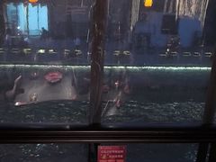 -小厨娘金榜题名(夫子庙秦淮河店)