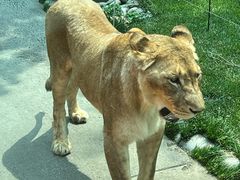 -北京野生动物园