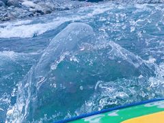 -虹口漂流