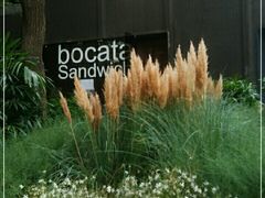 -BOCATA 西班牙餐厅(三里屯店)