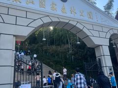 -上海佘山国家森林公园西佘山园