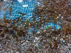 -三旗百汇商品城