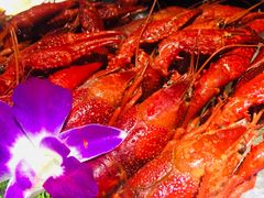 -红盔甲·小龙虾(天钥桥店)