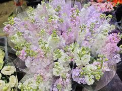 -循礼门鲜花花市(武汉循礼门店)