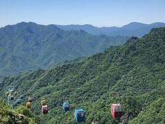 -朱雀国家森林公园