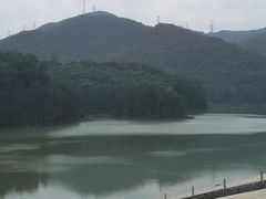 -阳台山森林公园