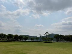 -顺峰山公园