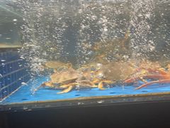 -徐记海鲜(大明宫|北二环店)