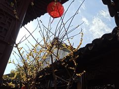 -檀园