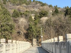 -白水寺森林公园
