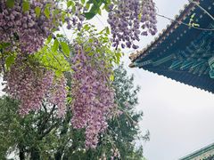 -北京国子监胡同