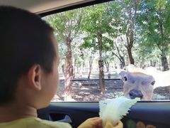 -秦皇岛野生动物园