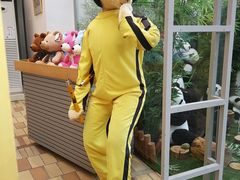 -济州岛泰迪熊博物馆