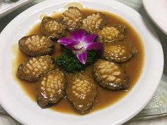 小鲍鱼-江南村酒家