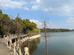 -天目湖山水园