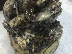 -游龙石文化科普馆
