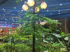 -凯德广场(学府店)