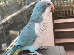 -燕塞湖鸟语林景区