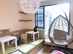 -滚猫咖啡·猫咖·猫友好撸猫(未来城店)