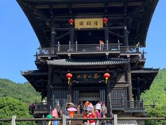 -大唐贡茶院