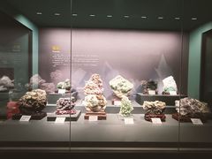 -湖南省地质博物馆