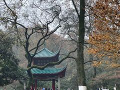 -岳麓山风景名胜区