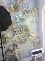 -星豆豆儿童摄影(南郊太白南路店)