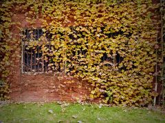 -西安电影制片厂