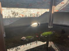 -几荷·恰似故人来(秀水广场店)