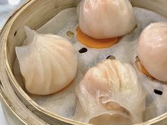 虾饺-有心德(隆生店)