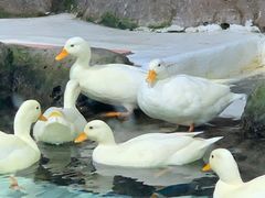 -海合安青岛极地海洋公园