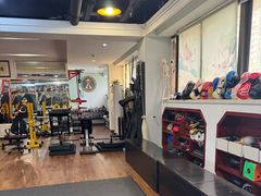 -温鉴良实用咏春拳