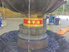 -深圳仙湖植物园